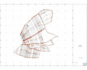 TARLA 22 - FINALIZATA_COMPLET-Model